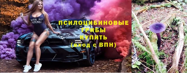 PSILOCYBIN Армянск