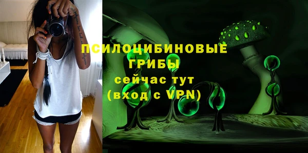 PSILOCYBIN Армянск