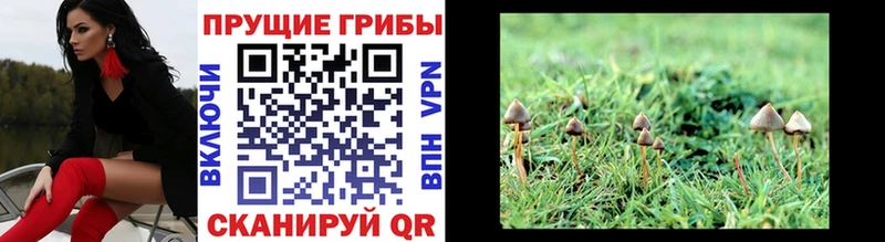 Псилоцибиновые грибы Magic Shrooms  kraken ССЫЛКА  Соликамск 
